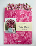 Cherry Blossom Freshcut Paper Flower Card