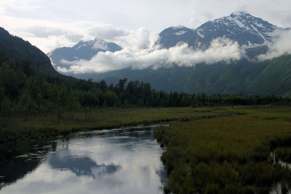 Alaskan View (Blank Card)