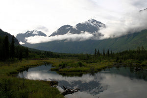 Alaskan Water View (Blank Card)