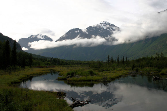 Alaskan Water View (Blank Card)