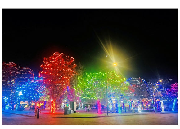 Lights on Santa Fe Plaza Holiday Card