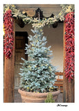 Santa Fe Ristra and Tree Holiday Card
