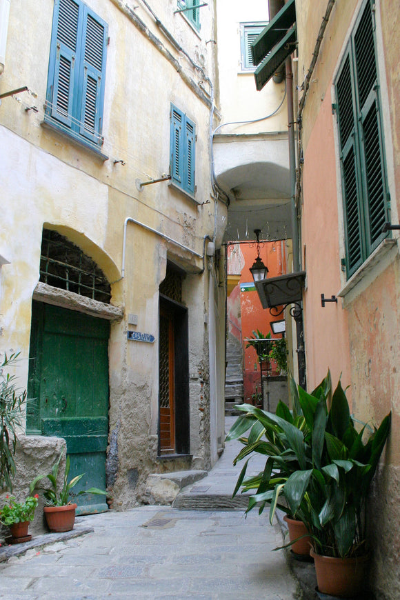 Street in Vernazza (Blank Card)