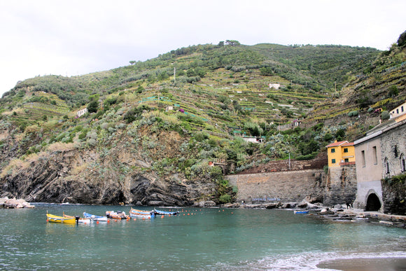 Vernazza Harbor (Blank Card)