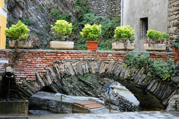 Bridge in Vernazza (Blank Card)