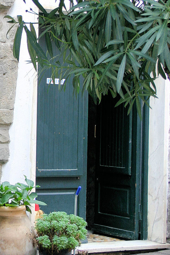 Blue Door in Italy (Blank Card)
