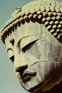 Face of the Great Buddha of Kamakura (Blank Card)
