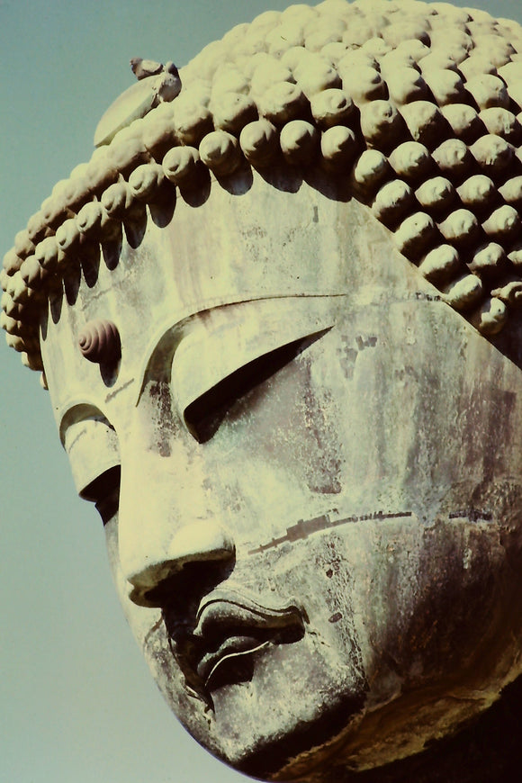 Face of the Great Buddha of Kamakura (Blank Card)