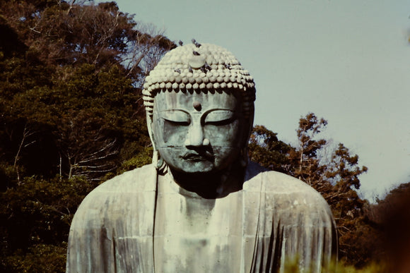 The Great Buddha of Kamakura (Blank Card)