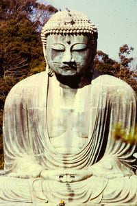 Great Buddha of Kamakura (Blank Card)