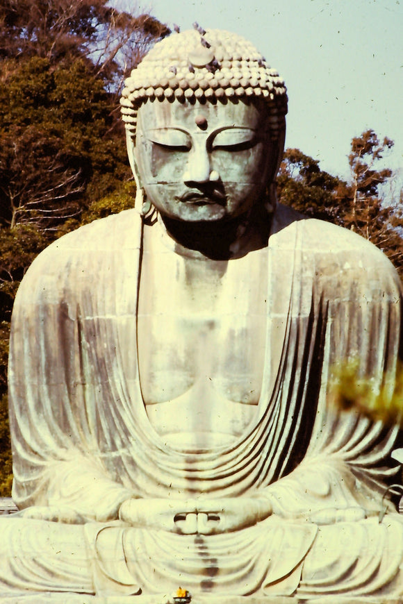 Great Buddha of Kamakura (Blank Card)