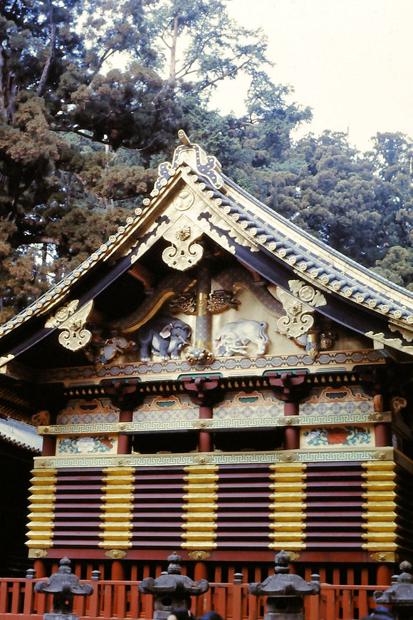 Nikko Temple in Japan (Blank Card)