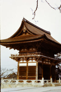 Japanese Shrine (Blank Card)