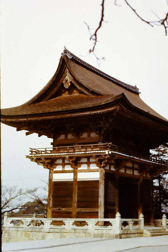 Japanese Shrine (Blank Card)