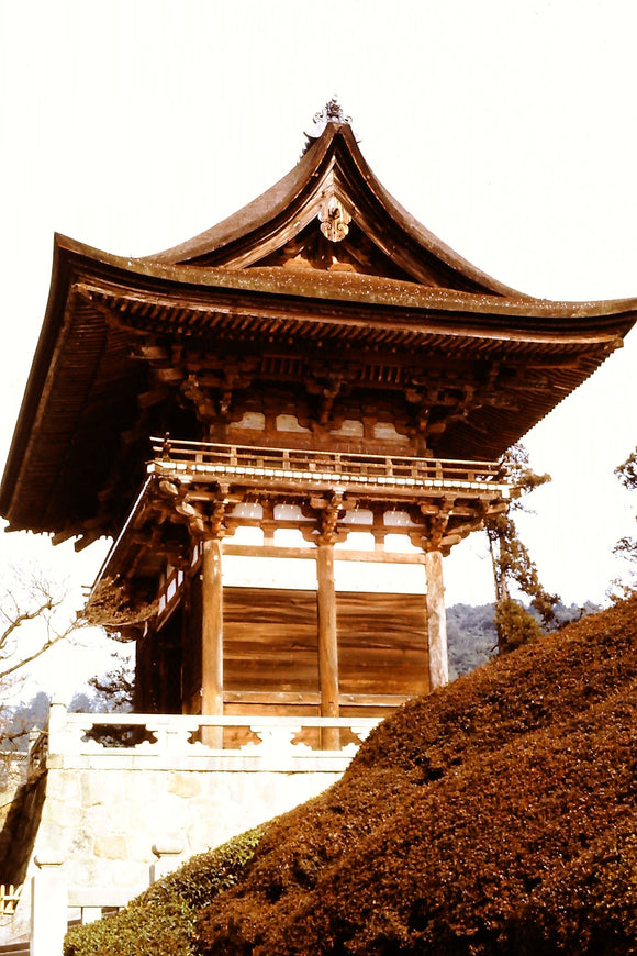 Japanese Shrine in the Sun (Blank Card)