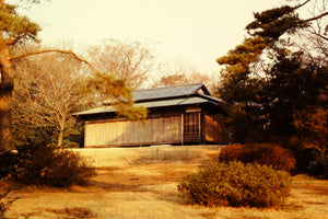 Teahouse of the August Moon (Blank Card)