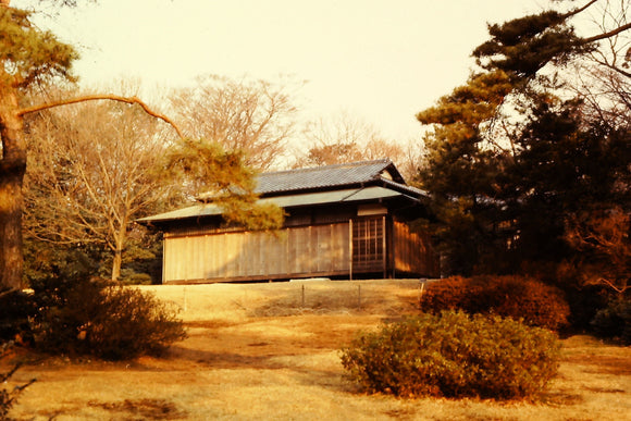 Teahouse of the August Moon (Blank Card)