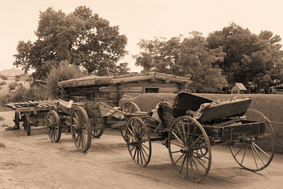 Las Golondrinas Wagons (Blank Card)