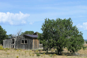 Shack (Blank Card)