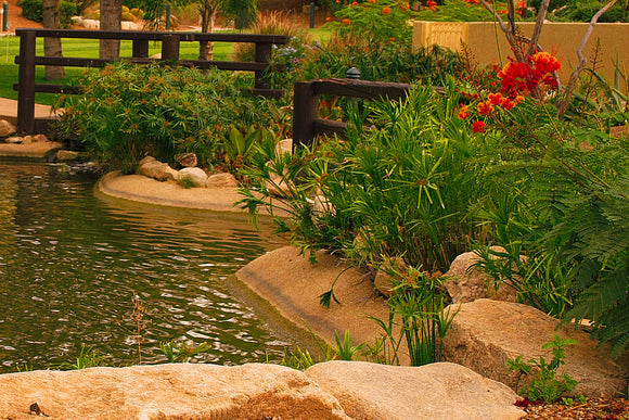 Tucson Serenity Pond (Blank Card)