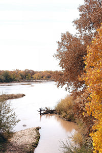 Fall on the Bosque (Blank Card)