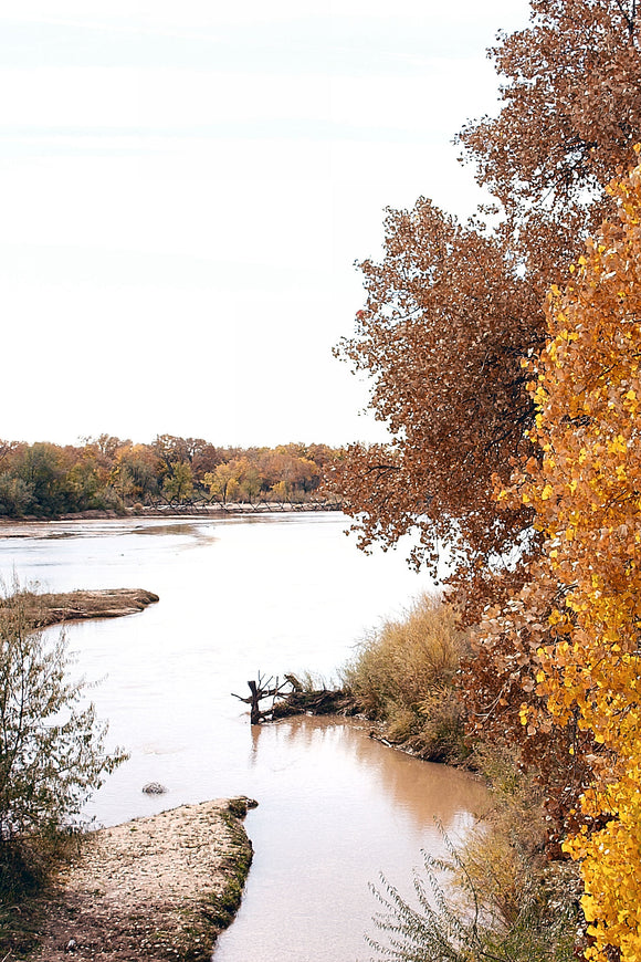 Fall on the Bosque (Blank Card)