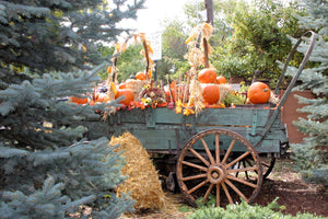 Fall Wagon (Blank Card)
