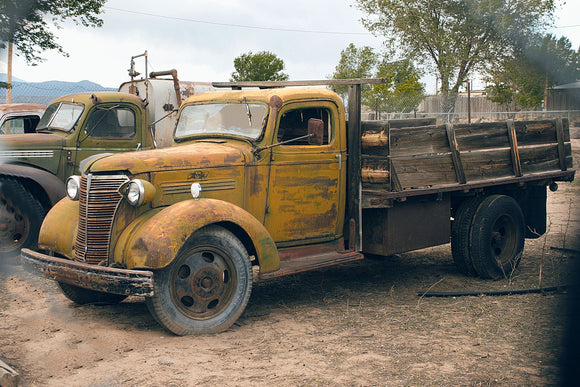 Old Trucks (Blank Card)