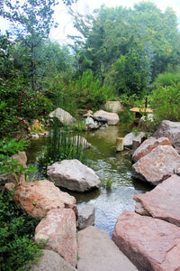 Stream (Blank Card)