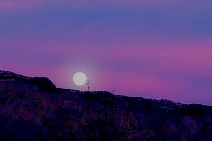 Purple Sky (Blank Card)