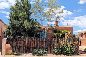 Adobe House with Hollyhocks (Blank Card)