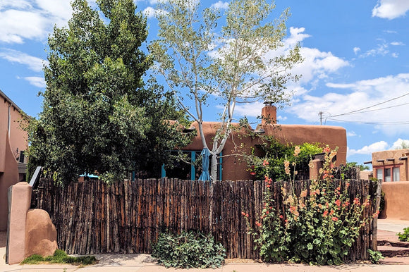 Adobe House with Hollyhocks (Blank Card)