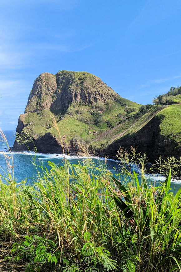 North Maui Cove (Blank Card)