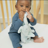 Teether Buddy Danny The Dog