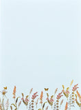 Blooms & Butterflies Stationery Set