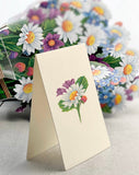 Field of Daisies Freshcut Paper Flower Card